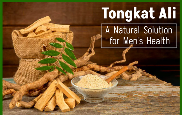 Unlock Peak Vitality with Tongkat Ali Supplements at Nayble Supplement Shop