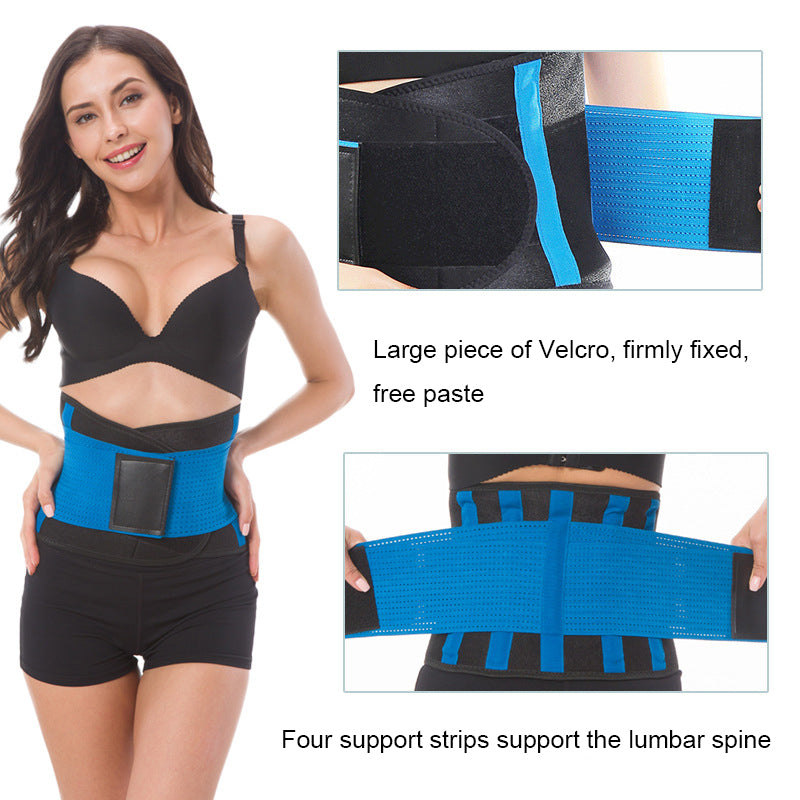 back belt support - nayble ltd