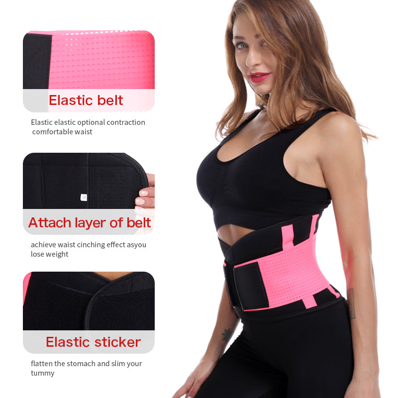 back support belt - nayble ltd