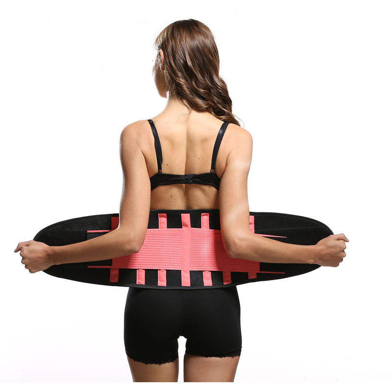 back support belt - nayble ltd