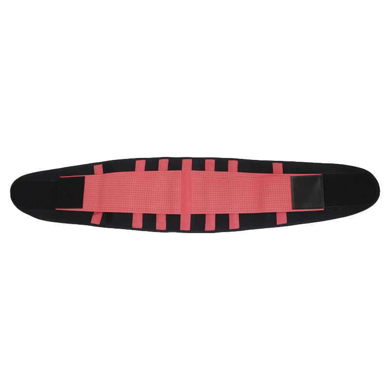 back support belt - nayble ltd