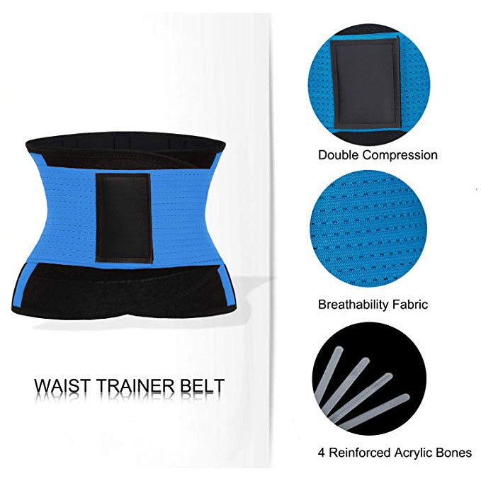 back belt support - nayble ltd