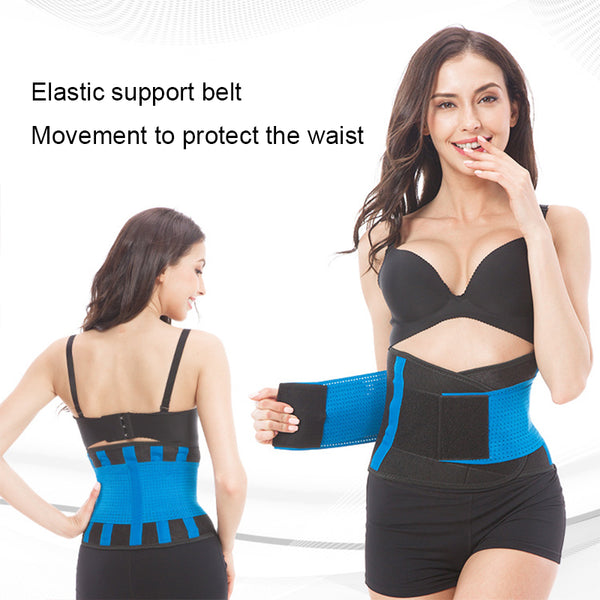 back belt support - nayble ltd